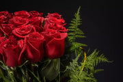 Love and Roses